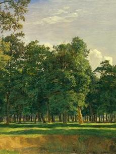 Nocturne | Cleveland Museum of Art