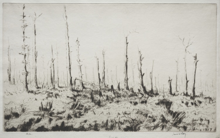Spring, 1917:  Late February, Trees of Trones Wood