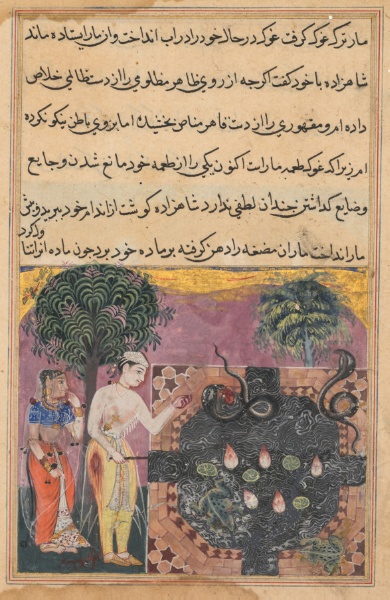 The prince, having deprived the snake of its natural food, a frog, feeds it with a piece of his own flesh, from a Tuti-nama (Tales of a Parrot): Eighteenth Night