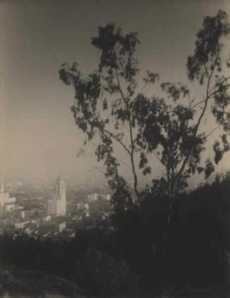 Hollywood From the Hills