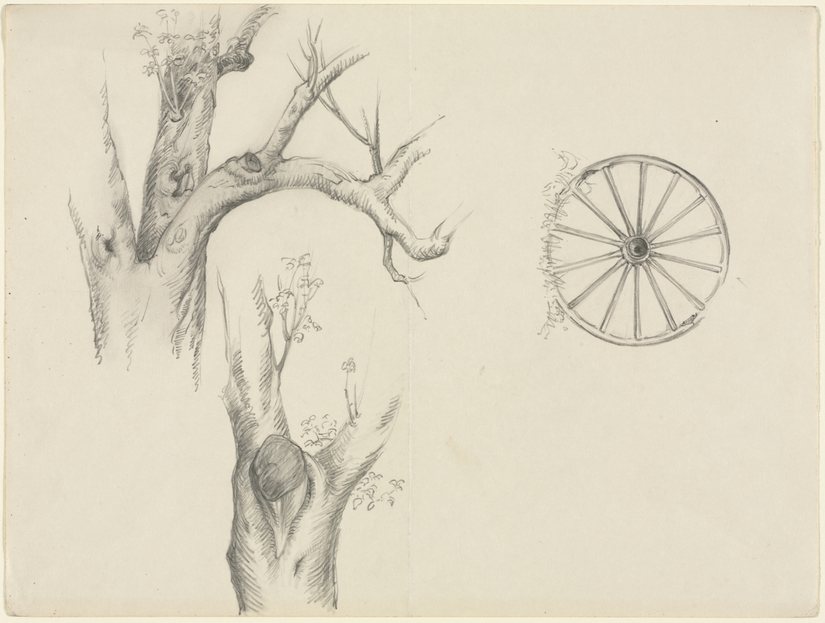 Tree Trunks and Carriage Wheel, Grace Albee, 1943