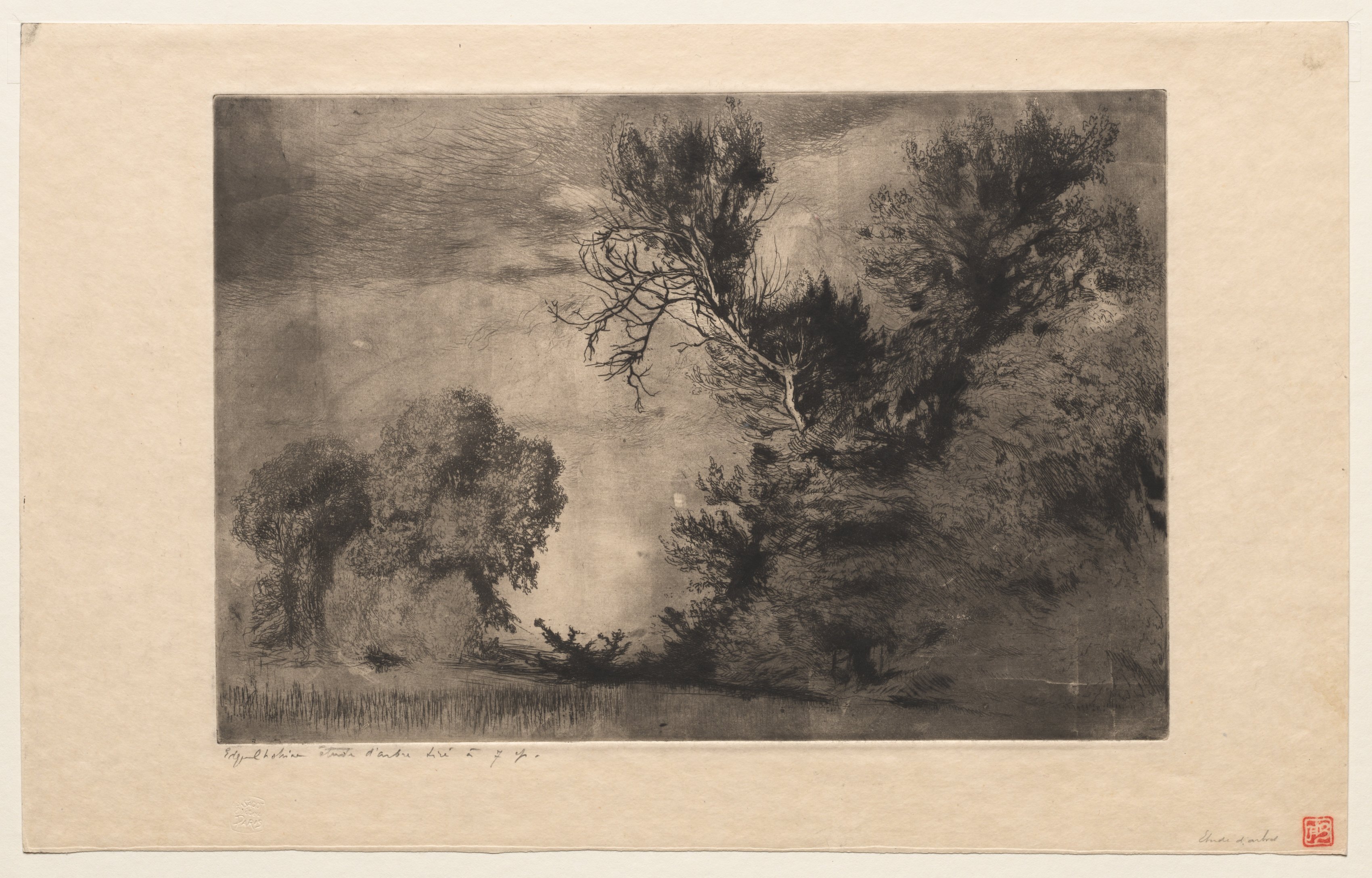 Study of Trees (First Plate) 