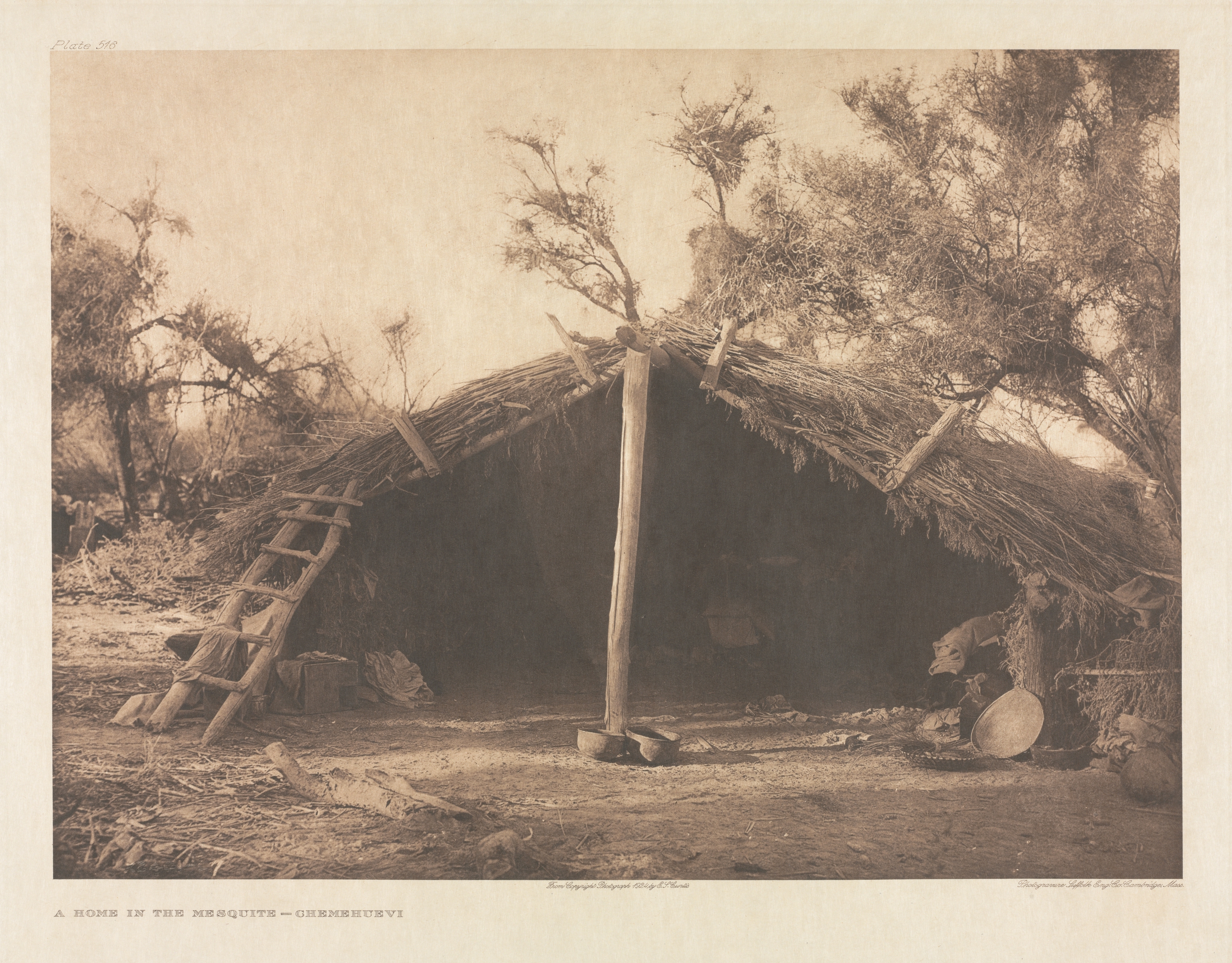 Portfolio XV, Plate 516: A Home in the Mesquite - Chemehuevi