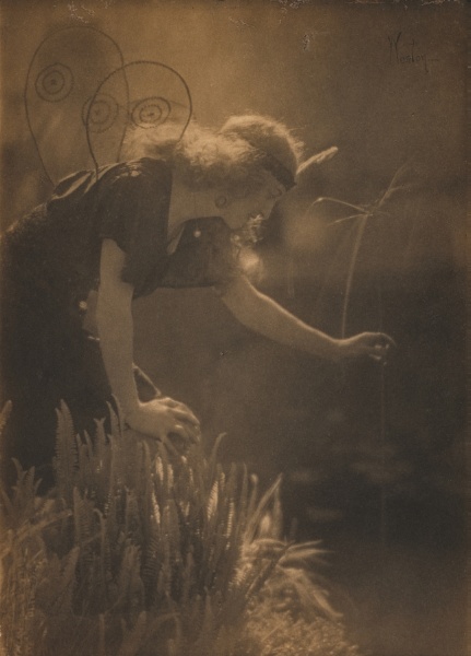 Violet Romer as Psyche, III | Cleveland Museum of Art
