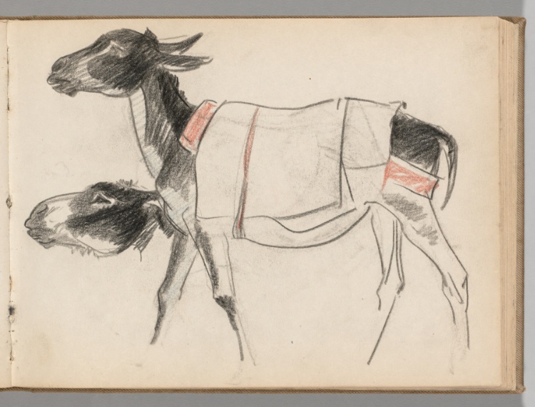 Sketchbook, Spain: Page 38: Studies of a Donkey