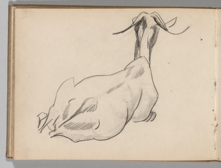 Sketchbook, Spain: Page 41: Study of a Goat Lying Down