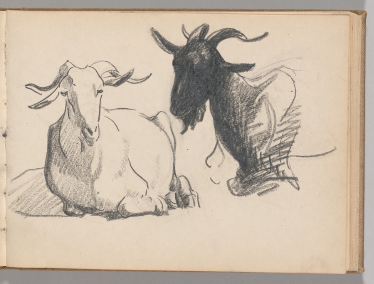 Sketchbook, Spain: Page 50, Studies of Goats