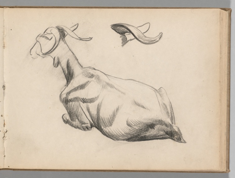 Sketchbook, Spain: Page 40: Studies of a Goat