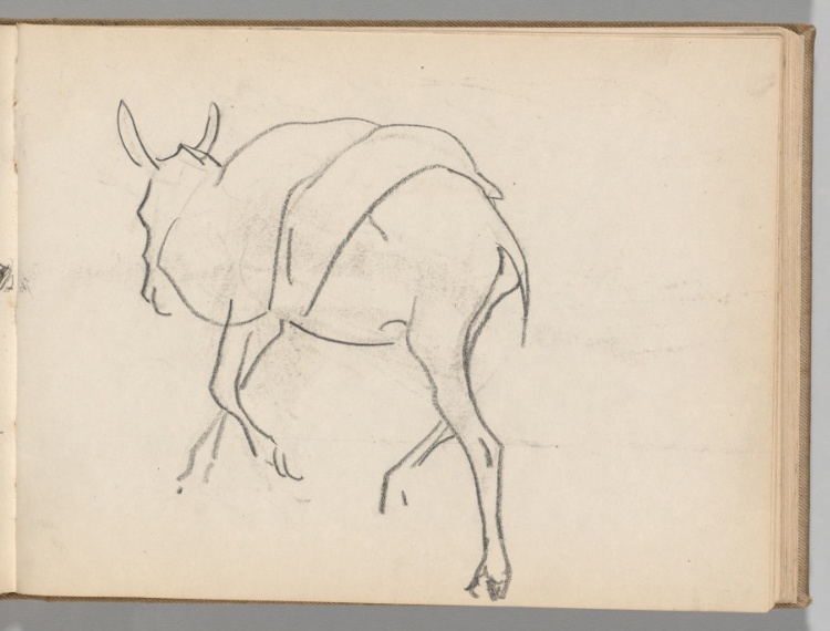 Sketchbook, Spain: Page 52, Sketch of a Donkey
