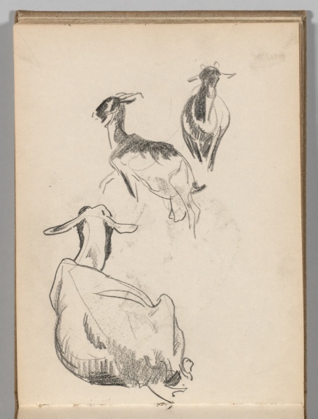 Sketchbook, Spain: Page 37: Studies of Goats
