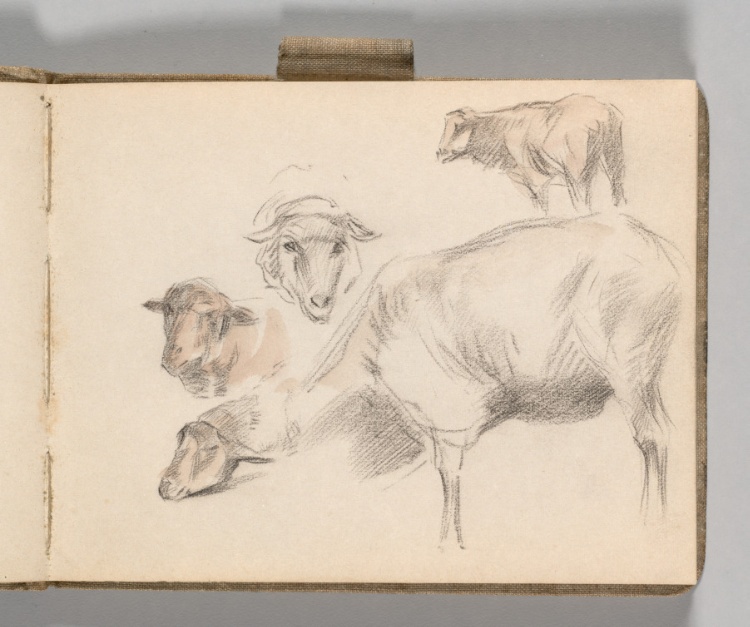 Sketchbook, Holland: Page 11, Studies of Five Sheep