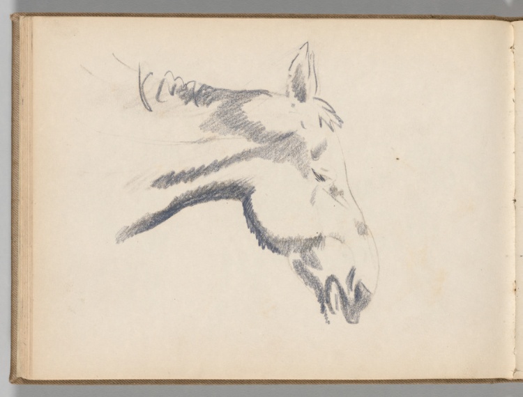 Sketchbook, Spain: Page 26: Head of a Donkey, c. 1922