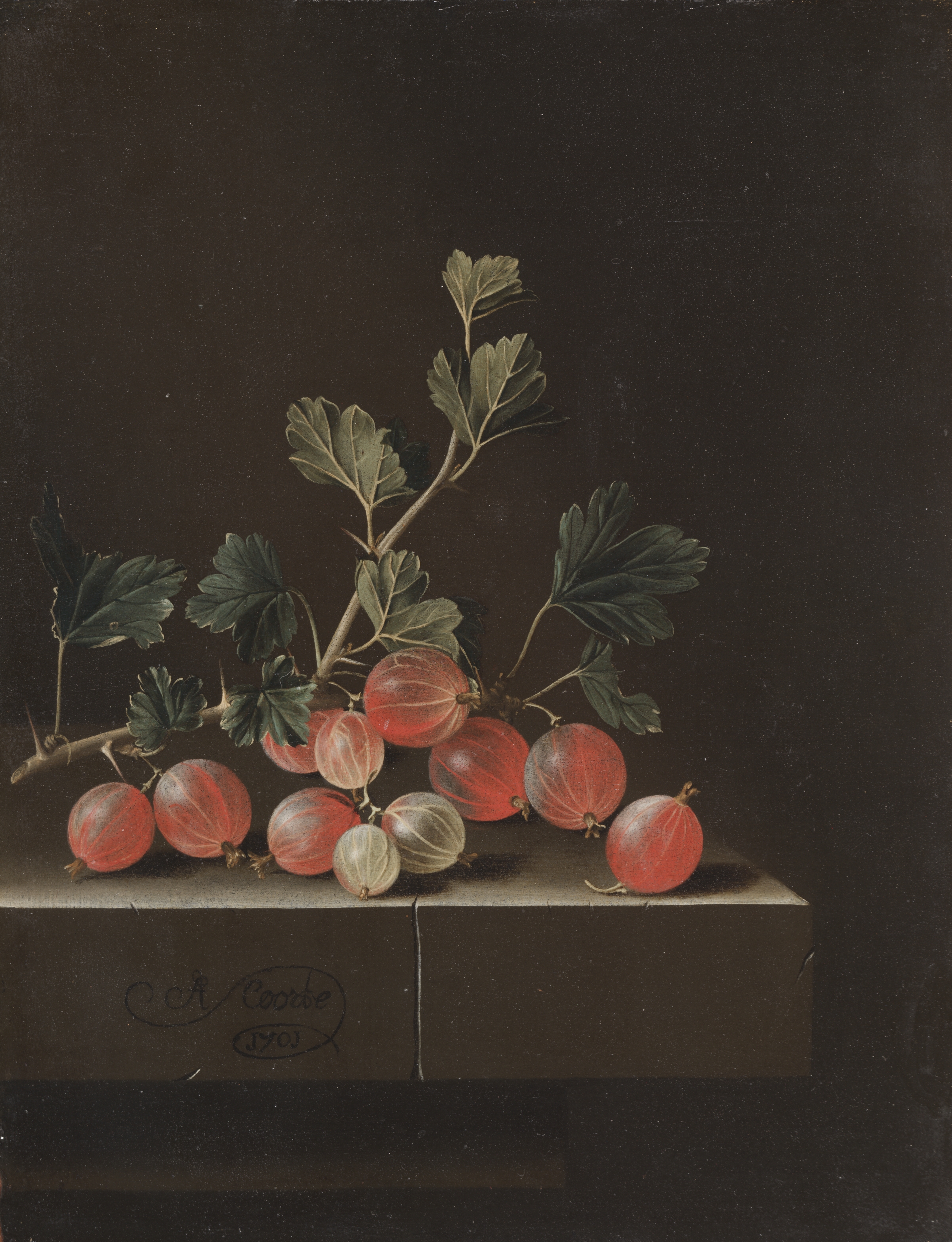 Gooseberries on a Table