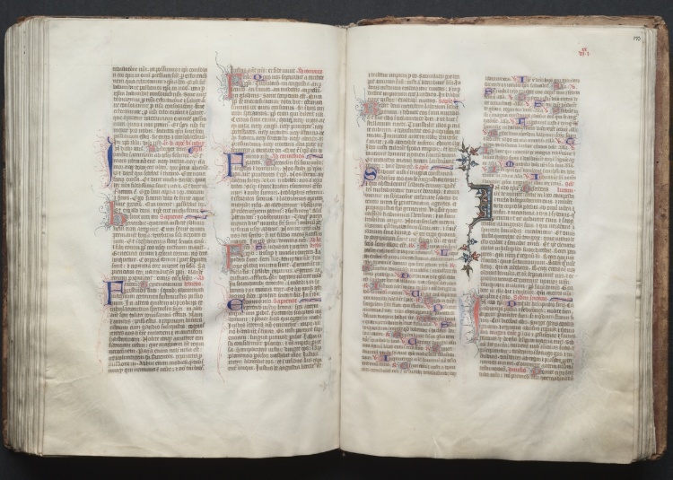 The Gotha Missal:  Fol. 132v, Text
