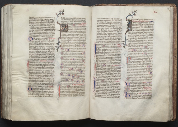 The Gotha Missal:  Fol. 135r, Text