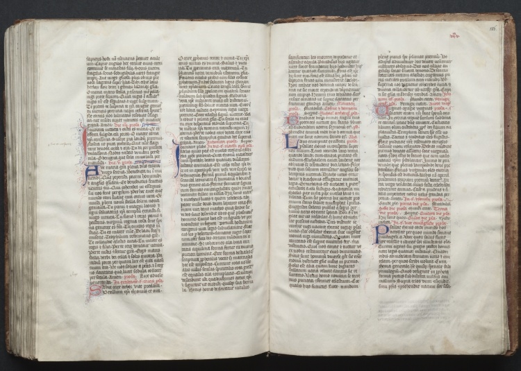 The Gotha Missal:  Fol. 156r, Text