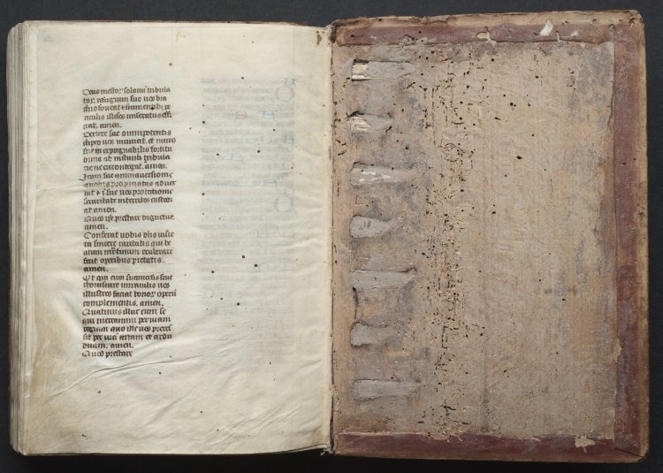 The Gotha Missal:  Fol. 164v, Text