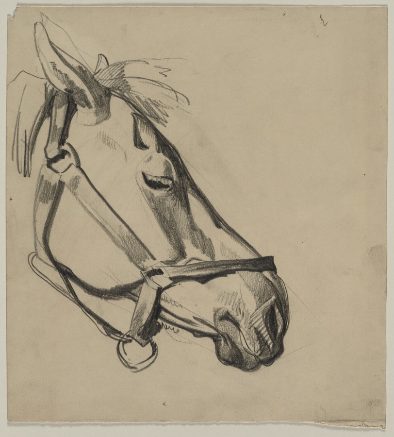 Horse's Head, Henry Keller, c. 1891–1949