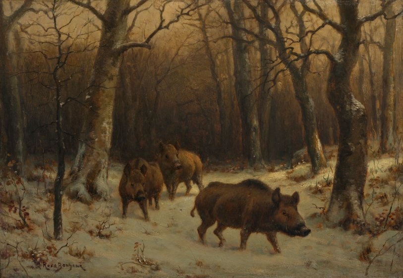 Wild Boars In The Snow Cleveland Museum Of Art Wild Boars In The Snow Cleveland Museum Of Art