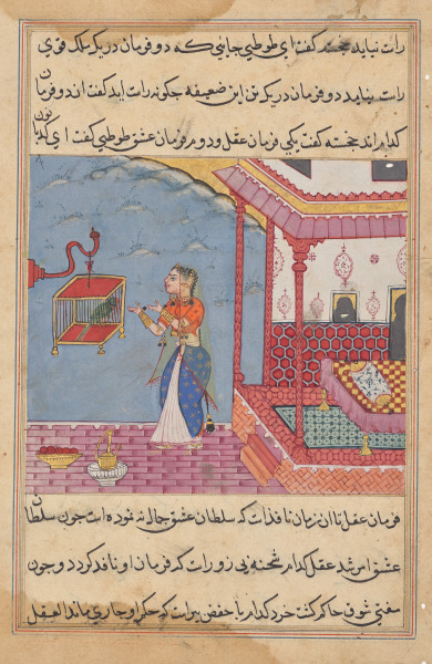 The Parrot Addresses Khujasta at the Beginning of the Twenty-Fourth Night, from a Tuti-nama (Tales of a Parrot)