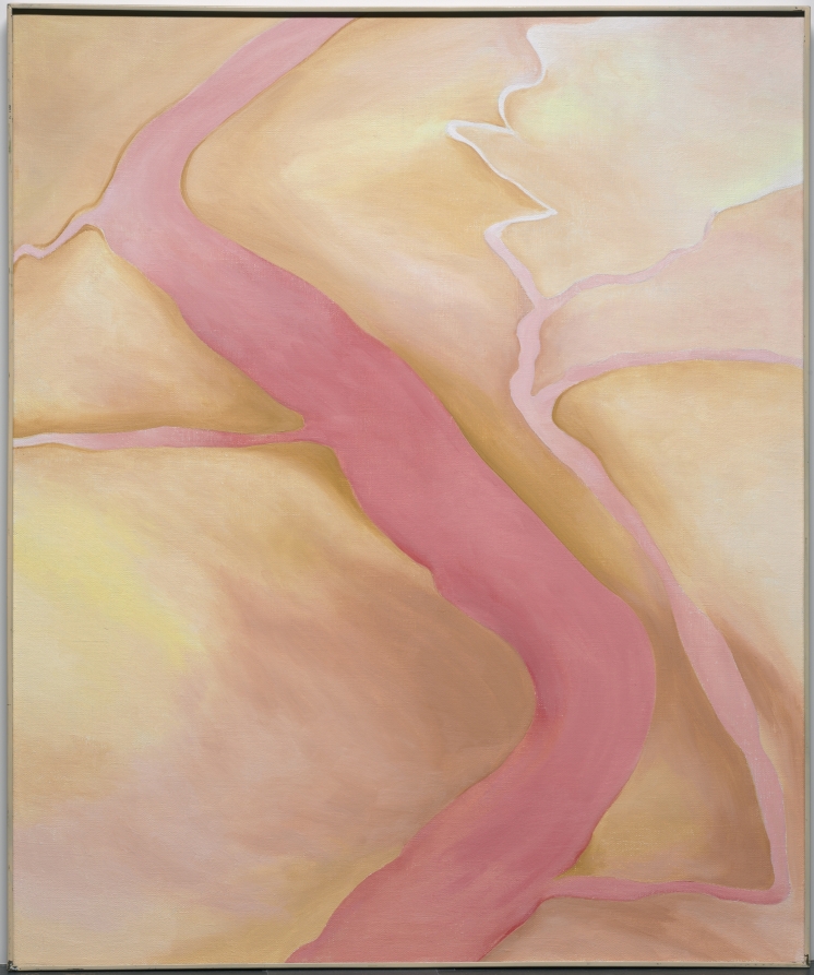 It Was Yellow and Pink II, Georgia O'Keeffe, 1959