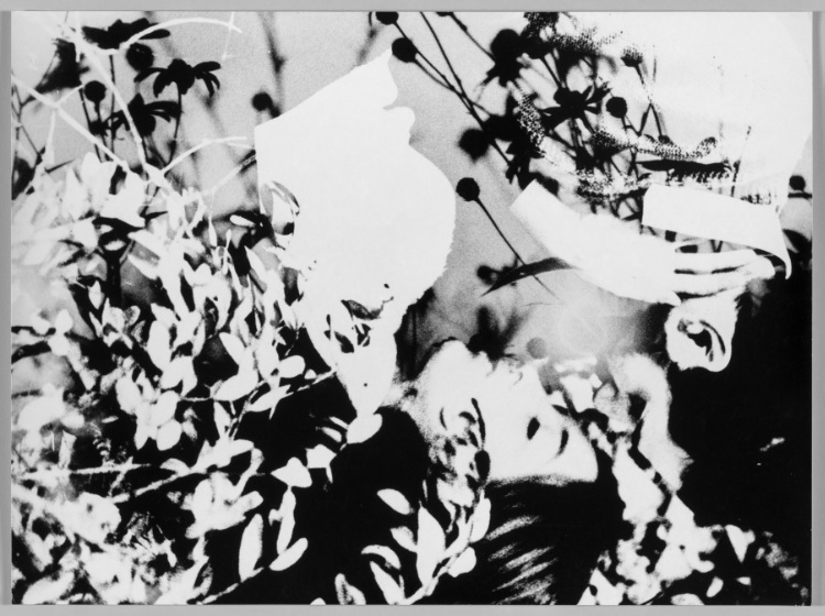 Photomontage of couple embracing in leaves