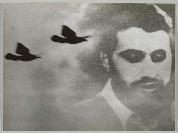 Photomontage of Man and Pigeons