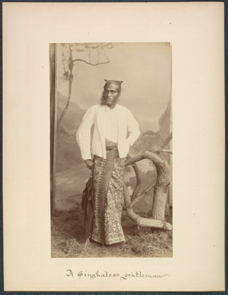 A Sinhalese Gentleman