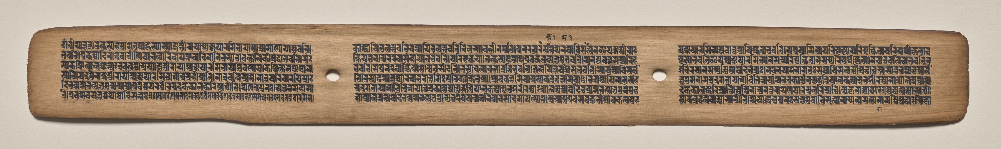 Text, Folio 101 (recto), from a Manuscript of the Perfection of Wisdom in Eight Thousand Lines (Ashtasahasrika Prajnaparamita-sutra)