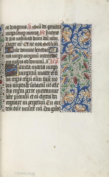 Book of Hours (Use of Rouen): fol. 35r