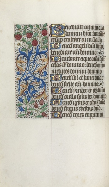 Book of Hours (Use of Rouen): fol. 41v