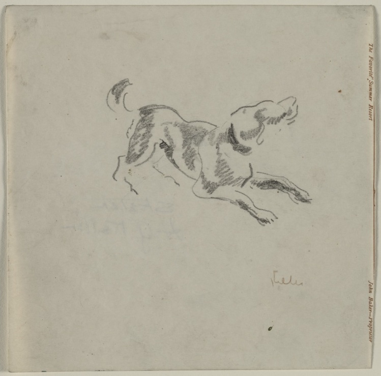 Sketch of a Dog