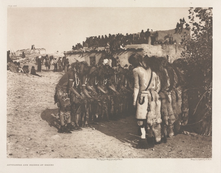 Portfolio XII, Plate 404: Antelopes and Snakes at Oraibi