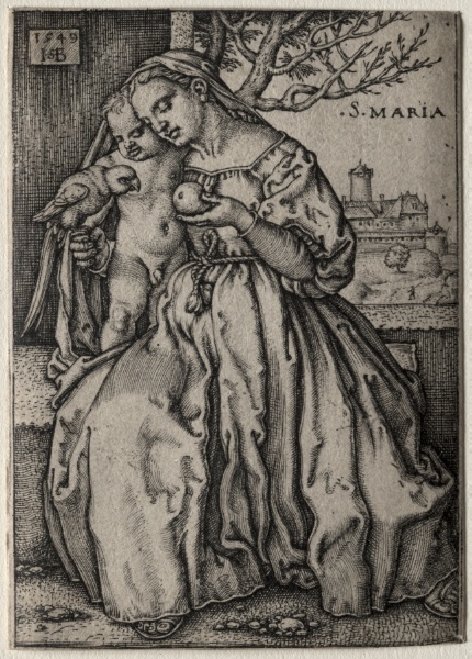 Virgin with the Parrot
