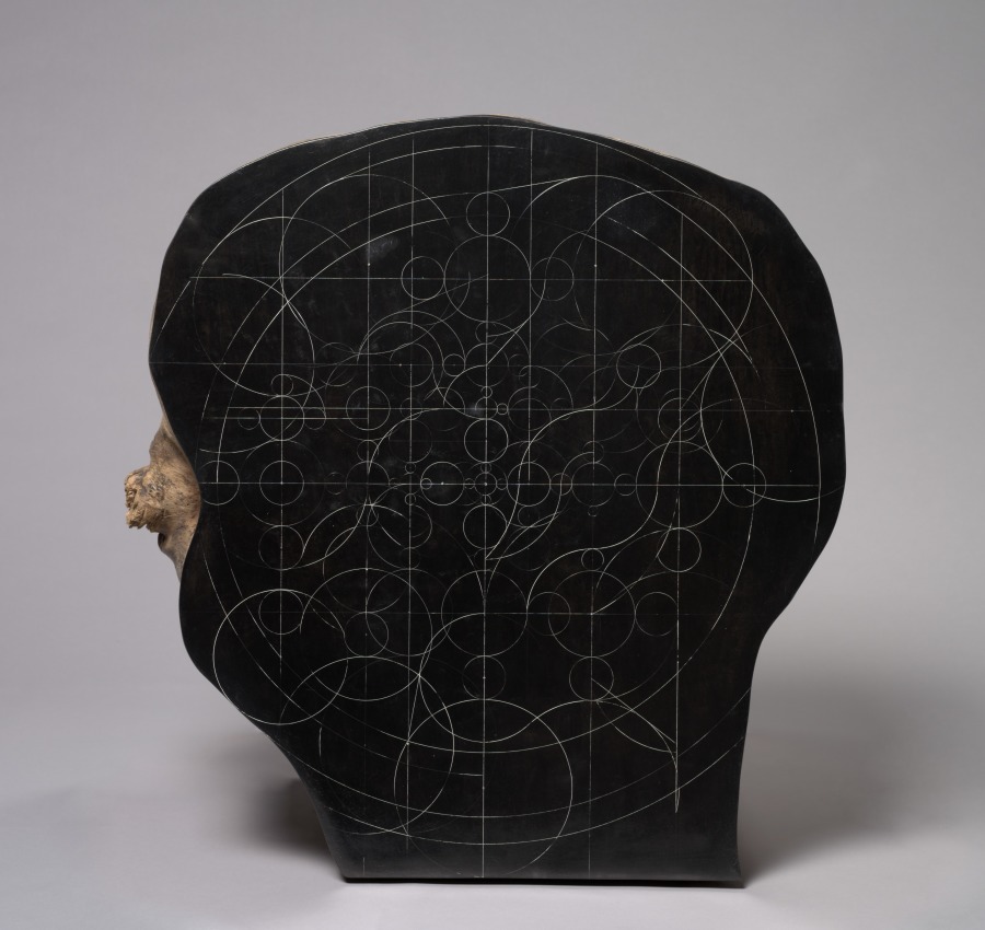 Mapa estelar en árbol, Gabriel Orozco, 2009