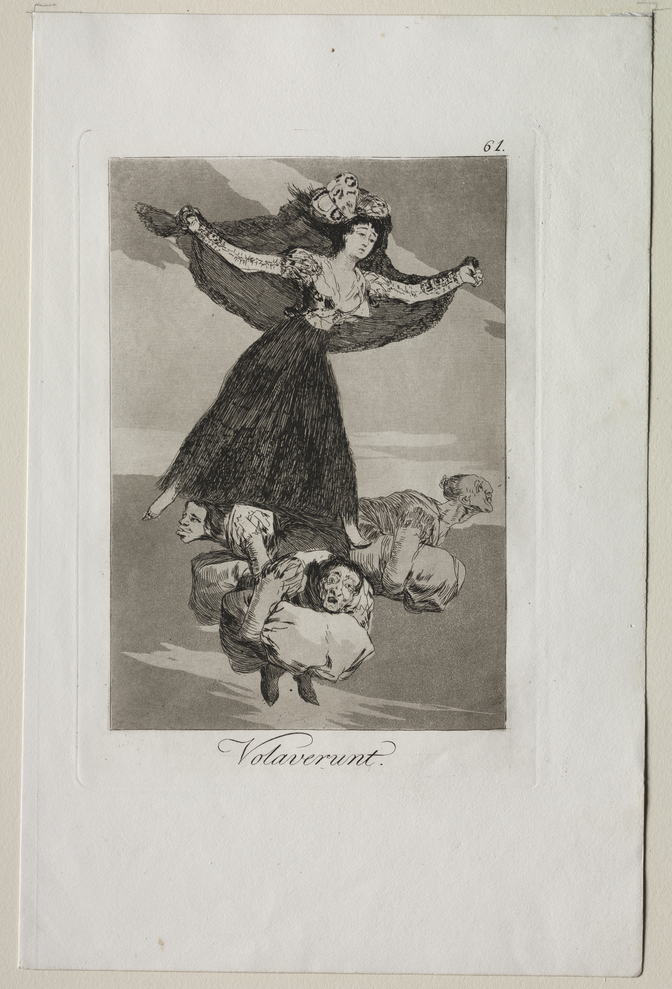 They Have Flown, Plate 61