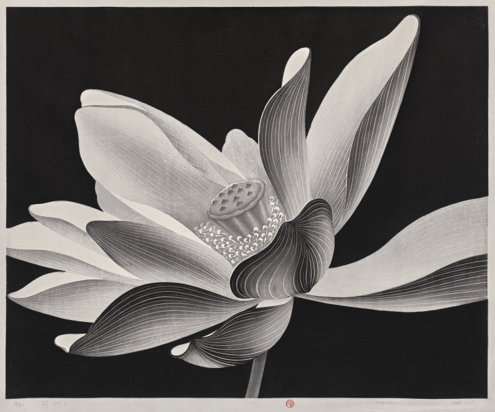 Lotus No. 12