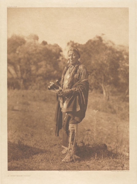 Portfolio XIX, Plate 664: A Cheyenne Chief