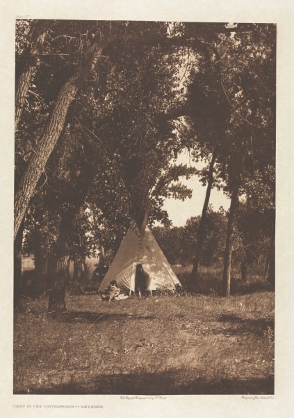Portfolio VI, Plate 217: Camp in the Cottonwoods - Cheyenne