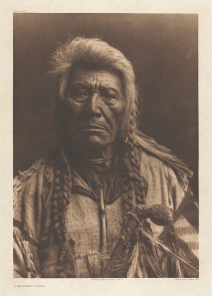Portfolio VII, Plate 229: A Flathead Chief