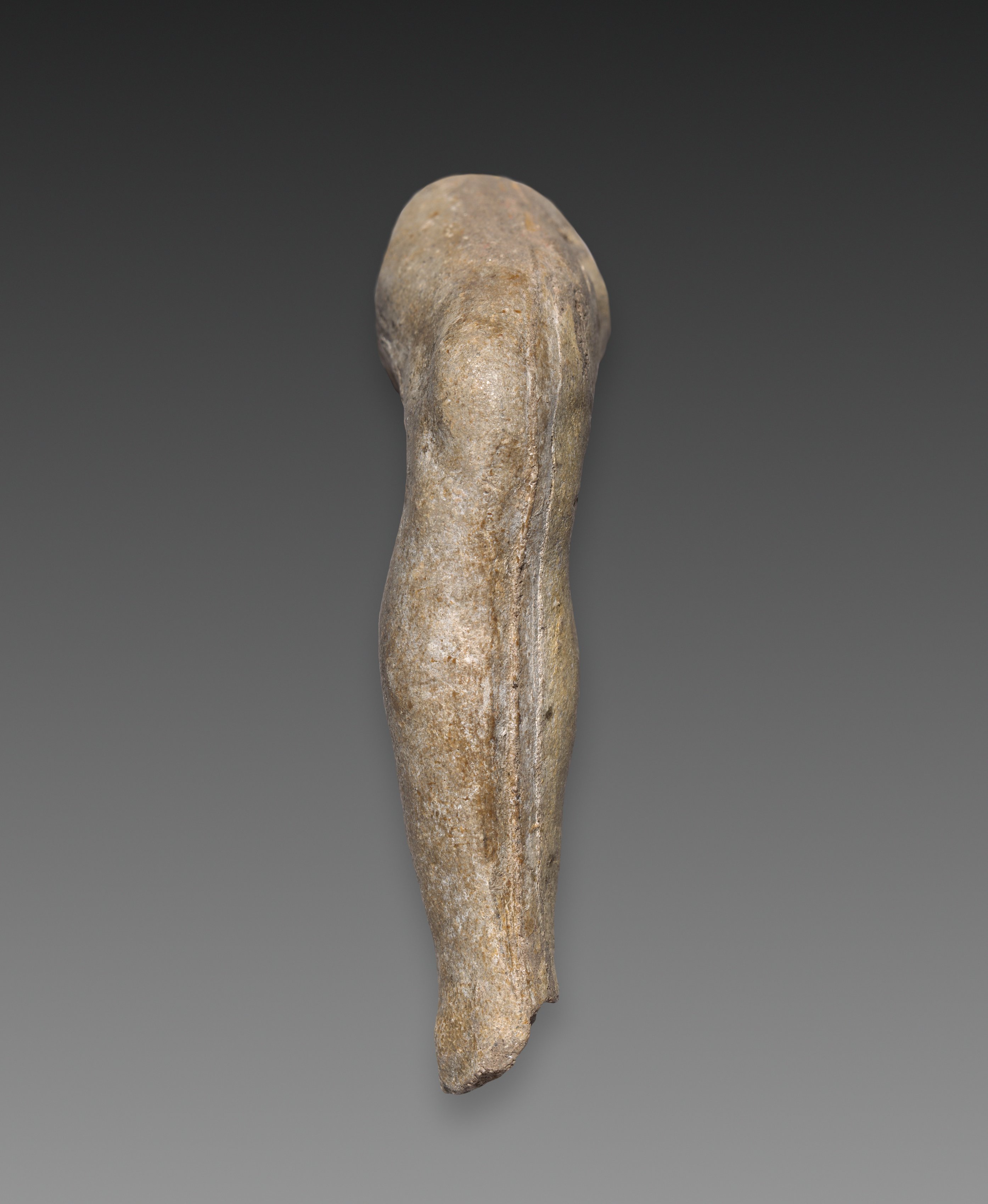 Fragment of a Leg (right leg)