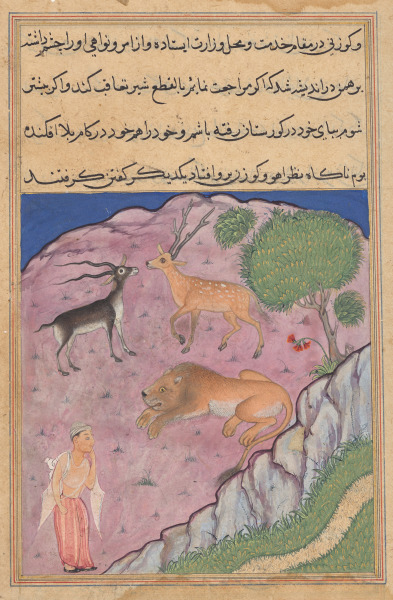 The Brahman comes upon a lion who has a deer and a gazelle as his viziers, from a Tuti-nama (Tales of a Parrot): Twenty-first Night