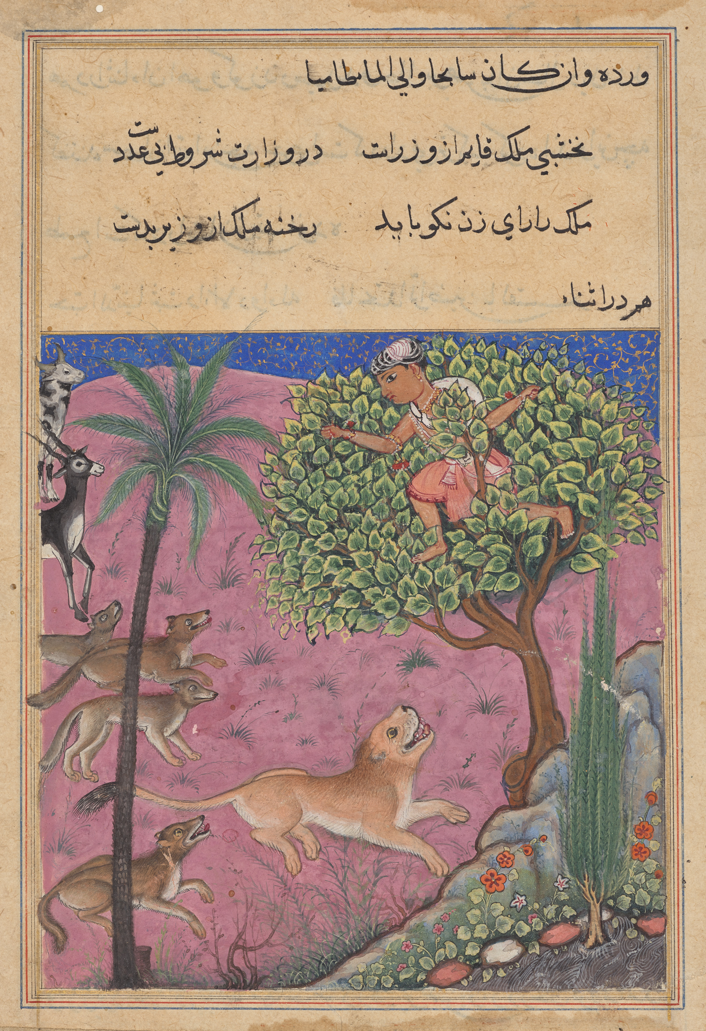 The wolf and the jackal, serving as viziers, instigate the lion who pursues the Brahman up a tree, from a Tuti-nama (Tales of a Parrot): Twenty-first Night