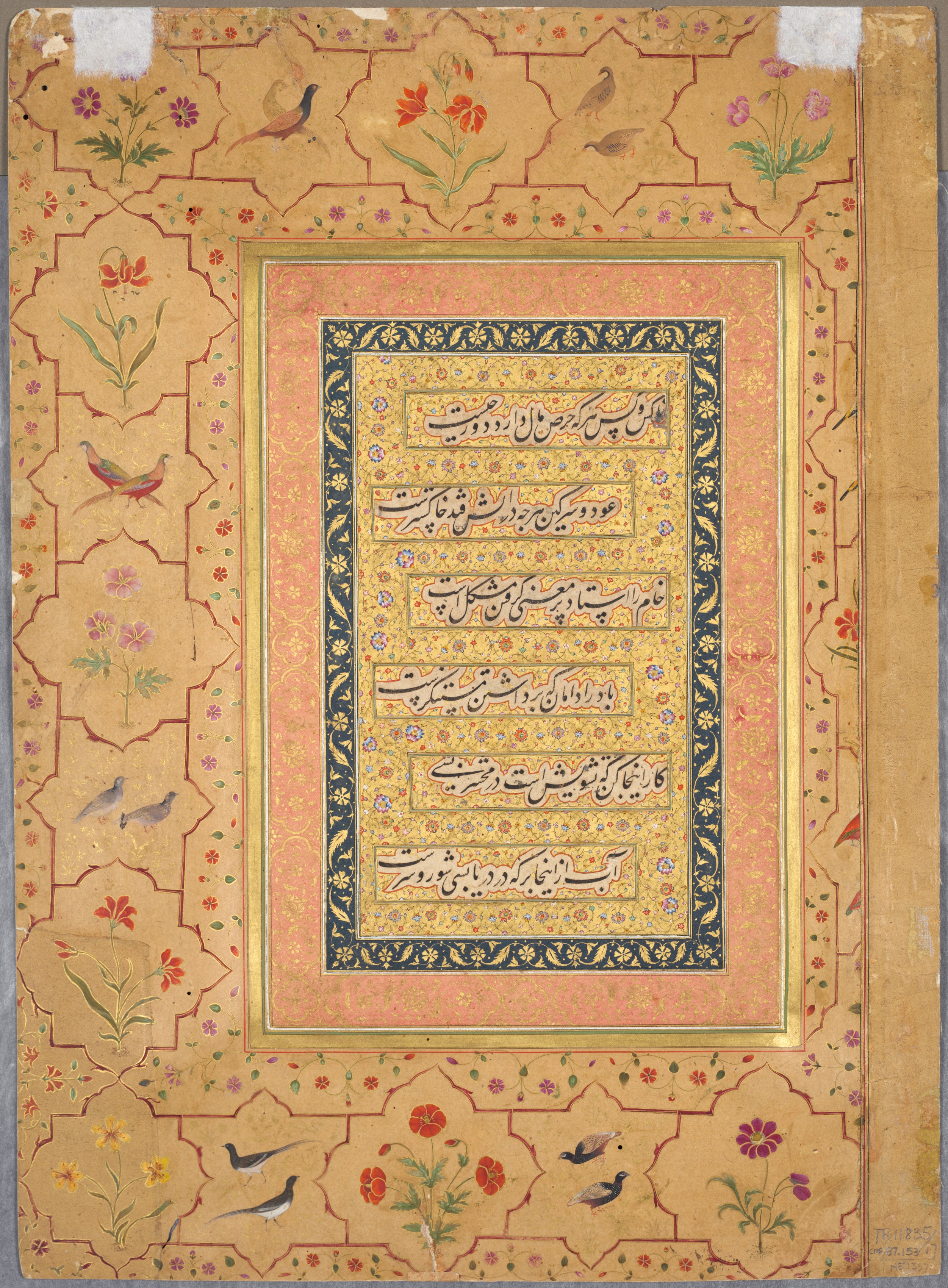 Page from the Late Shah Jahan Album: Calligraphy Framed by an Ornamental Border with Poppies and Pairs of Birds (verso)
