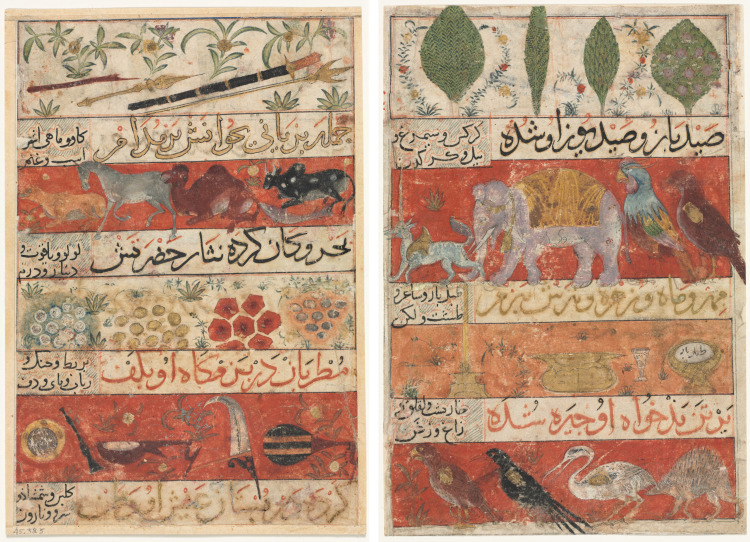Animals, Precious Stones, Coins, and Musical Instruments (recto); Animals, Birds, and Plants (verso) from a Mu'nis al-Ahrar fi Daqa'iq al-Ash'ar (The Free Men's Companion to the Subtleties of Poems) of Muhammad Ibn Badr al-Din Jajarmi (active 1340s)