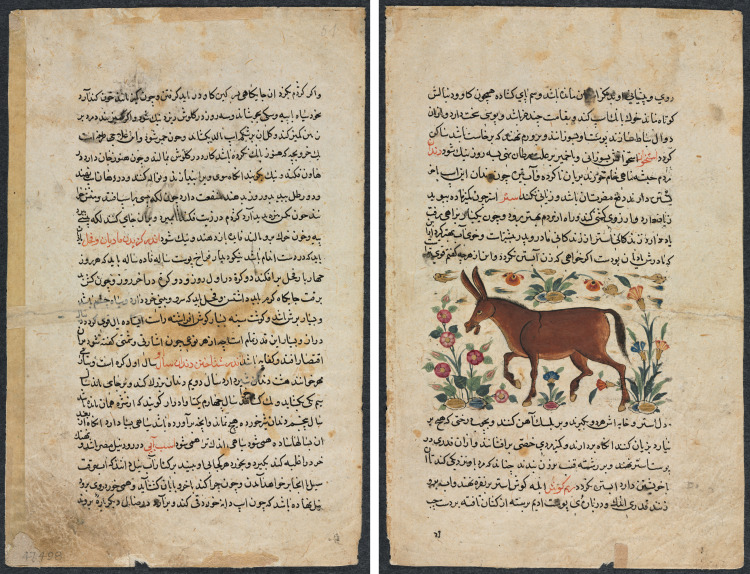 Text Page, Persian Prose (Recto); Khar (Ass) (Verso)