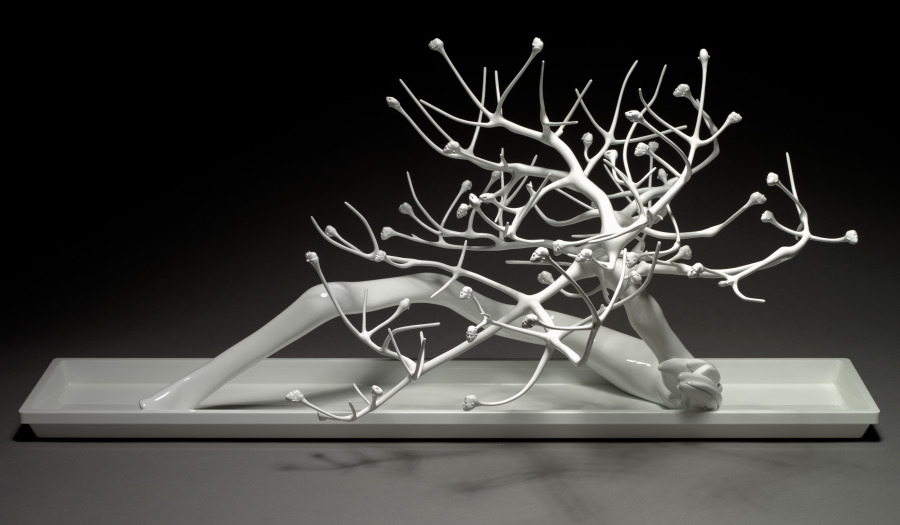 Dwarfed White Jack, Rona Pondick, 2010–2012