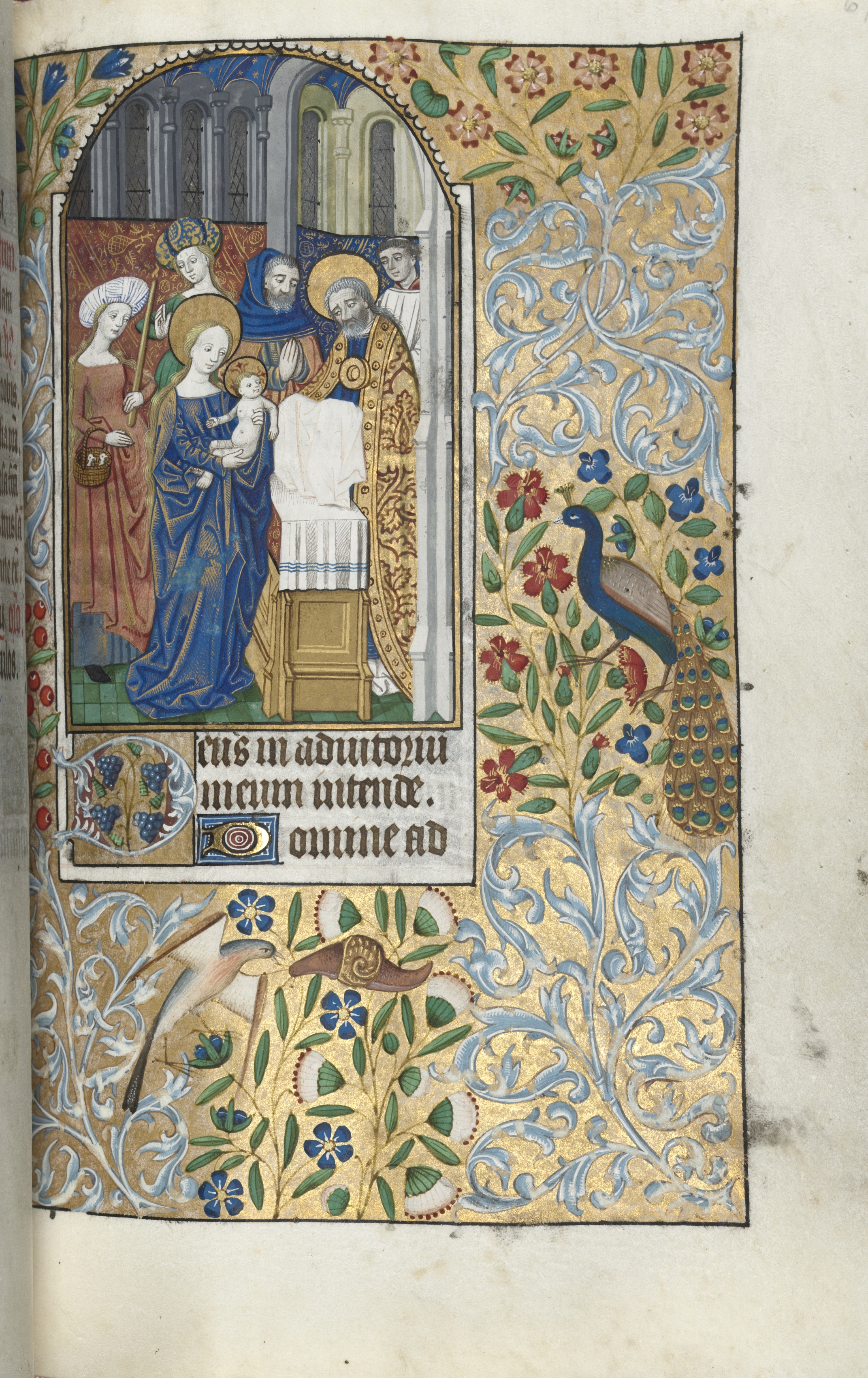 Book of Hours (Use of Rouen): fol. 67r, Opening of None, Presentation of the Christ Child in the Temple