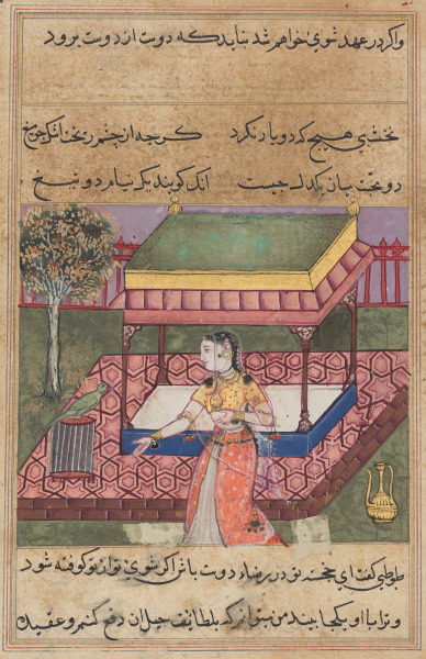 The parrot addresses Khujasta at the beginning of the fortieth night, from a Tuti-nama (Tales of a Parrot)