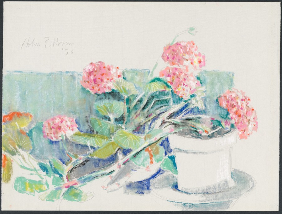 Geraniums, No. 1, Hobson Pittman, 1970